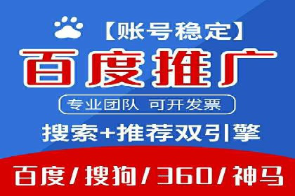 某某SEM服务公司成功案例：从数据出发的营销策略